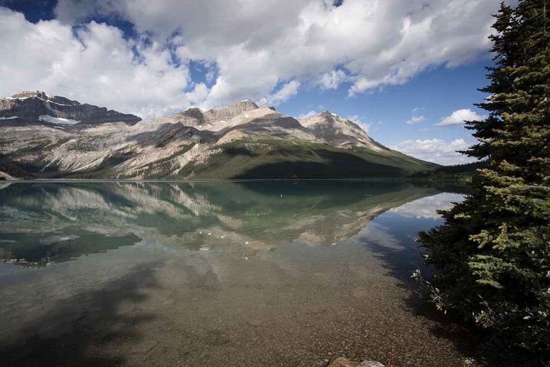 bow lake banff national park.jpg